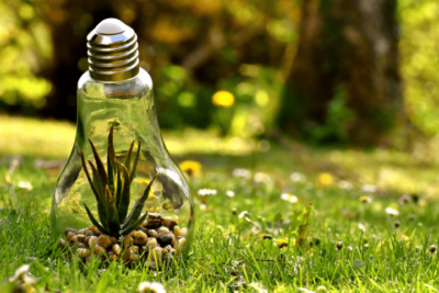 A Close Up Of A Bottle Of Green Grass