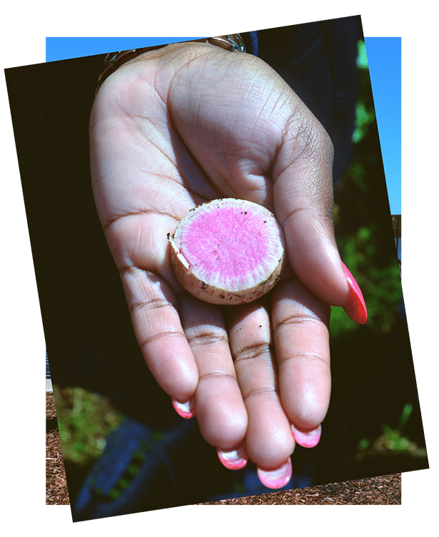 a hand holding a coin